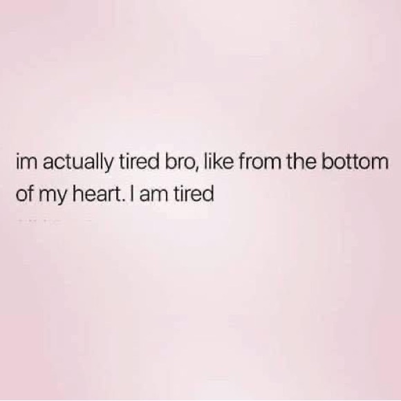 ✨ - Picture 14 of 16